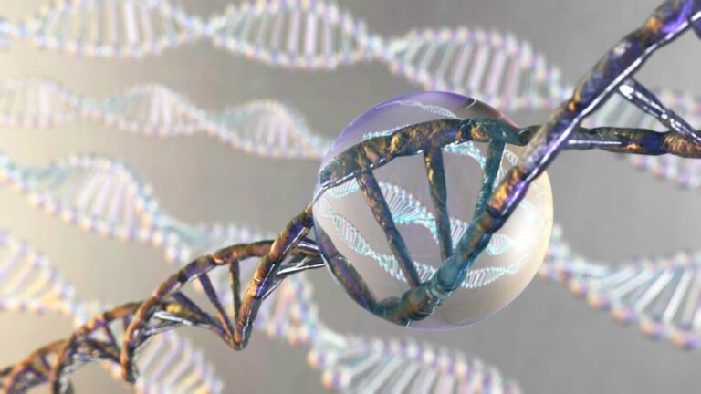 L’epigenetica nel trattamento dell’osteoporosi