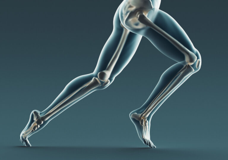 Osteoporosi e sarcopenia: l’acido zoledronico può migliorare entrambi i disturbi?