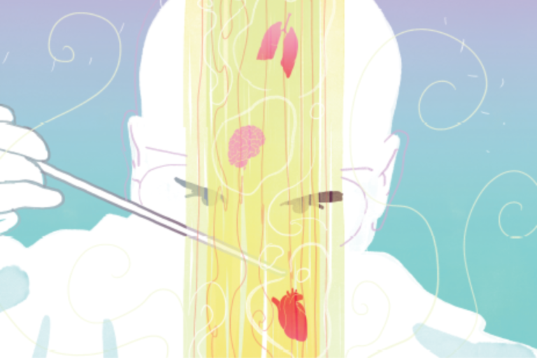 Tecniche di ingegneria tissutale per la rigenerazione ossea