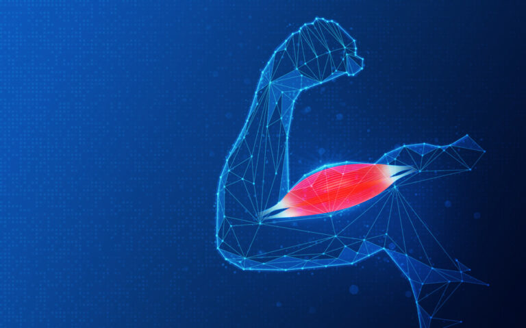 Un’innovativa soluzione nutrizionale contro la sarcopenia
